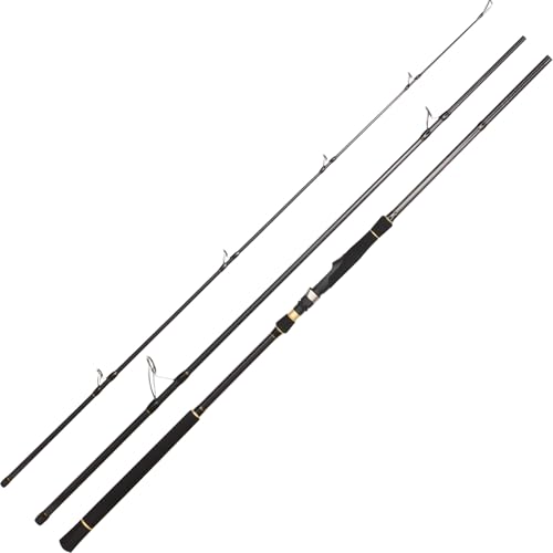 BERRYPRO Light Surf Spinning Rod Striper Fishing Rod Striped Bass surf Rod (9'/9'6''/10'6''/11'/12') - style: 10'6'' - 3pc