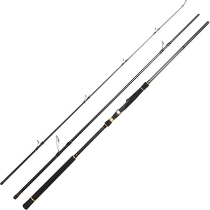 BERRYPRO Light Surf Spinning Rod Striper Fishing Rod Striped Bass surf Rod (9'/9'6''/10'6''/11'/12') - style: 10'6'' - 3pc