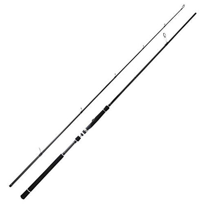BERRYPRO Light Surf Spinning Rod Striper Fishing Rod Striped Bass surf Rod (9'/9'6''/10'6''/11'/12') - style: 9'6''-medium (10-20lbs)