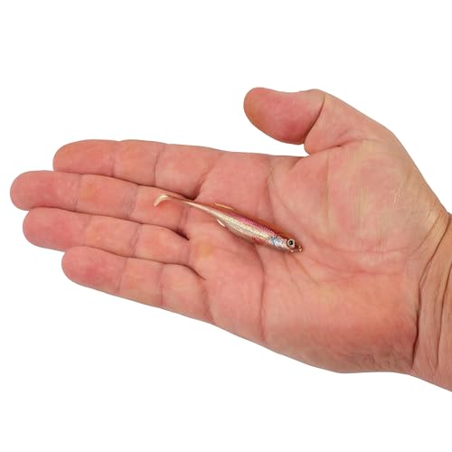 Berkley PowerBait Drip Swimmer Fishing Soft Bait - color: HD Rainbow Shiner, size: 3"