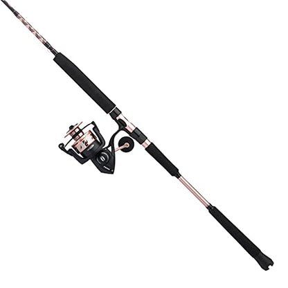 Penn Passion II Spinning Reel and Fishing Rod Combo - size: 6000 Size Reel - 6'6" - Medium Heavy - 1pc