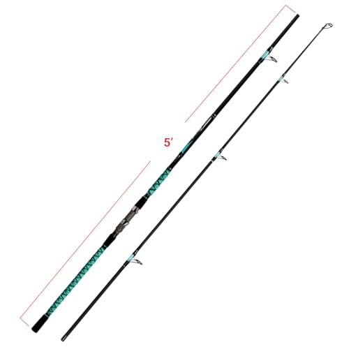 Fiblink Surf Fishing Rod Portable Travel Surf Spinning Rod 2 Piece/3 Piece/4 Piece Carbon Fiber Saltwater Fishing Rod 9'/10'/12'/13'/15' - style: 10'-spinning-2pc