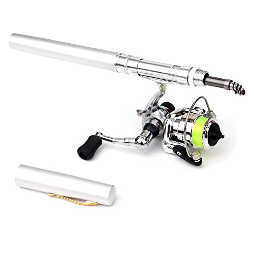 Lixada Fishing Rod Reel Combo Mini Pen Fishing Pole Kit Telescopic Fishing Rod Spinning Reel Combo Kit - color: Silver, size: 1.6 m
