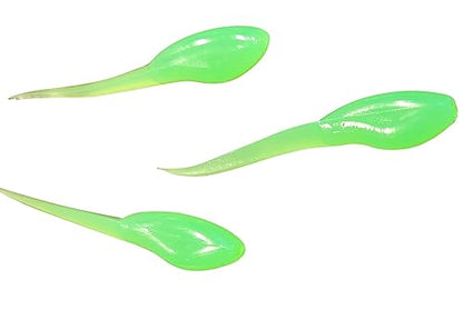 Small Fry 40 Pack (1.75 Inch) Crappie, Panfish, Bass and More - color: Neon Green