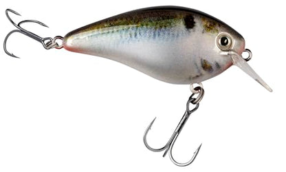 Strike King KVD 1.5 Hard Knock Fishing Lure, 3/8 oz, 3D Lifelike Eyes - color: Natural Shad, size: 3/8oz