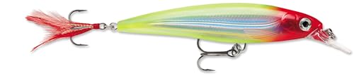 Rapala X-Rap Jerkbait XR10 Fishing Lure - color: Clown