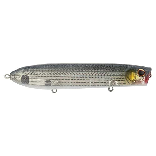 Berkley Cane Walker Saltwater Fishing Hard Bait - color: Mullet, size: 4 3/10in - 110 (5/7 oz)