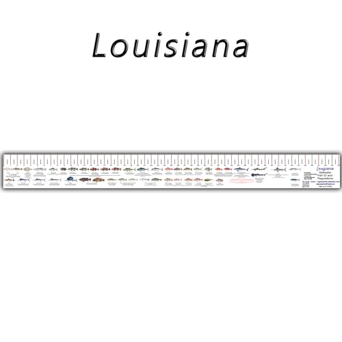 STATE COASTAL FISH RULER with FISH ID and FISHING REGULATIONS - 50 INCH RULER DECALS - style: Louisiana