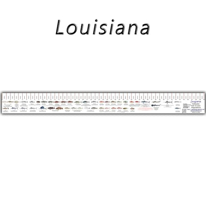 STATE COASTAL FISH RULER with FISH ID and FISHING REGULATIONS - 50 INCH RULER DECALS - style: Louisiana
