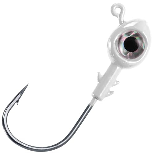 Dr.Fish 10 Pack Fishing Eyes Jigs 3D Eyes Trout Heads Bass Hook Saltwater Swimbait Jig Heads Freshwater Walleye Redfish Striper - color: White, size: 1/2oz-Hook #5/0