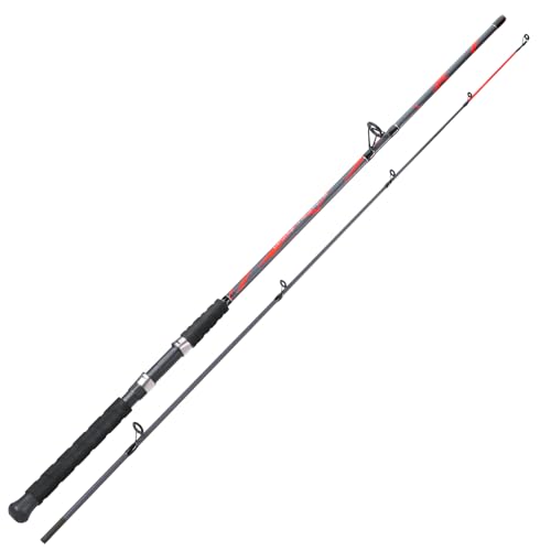 Sougayilang Spinning Rods, Strong Carbon&Glass Composite Fishing Pole with Stainless Steel Line Guides for Catfish- 7'0" - color: Red