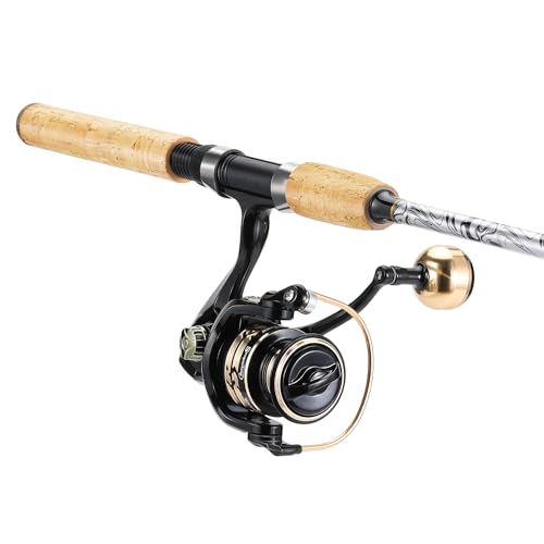 Sougayilang Reel and Fishing Rod Combo, Fiberglass Fishing Pole with Durable P-Cork Rod Handle, Lightweight Graphite Frame - size: 6'0" M- M Fast with 1000 Reel