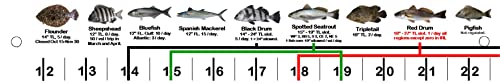 Florida Fish I.D. Ruler – 33.75” Folding Ruler Showing 27 Common Florida Fish in True-to-Life Color Photographs and Their Current FWC Rules with Highlighted Slot Bracket Zones