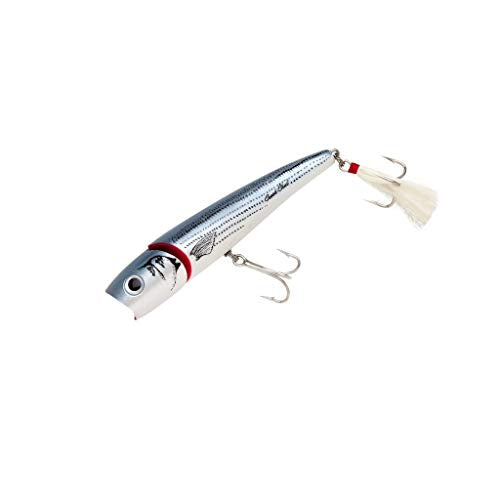 Creek Chub Knuckle Head Jointed Topwater Fishing Lure with Chugging and Popping Action - color: Baby Striper