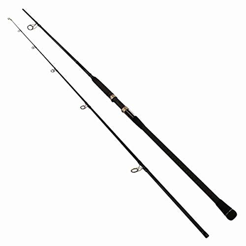 Okuma Rockaway Light Weight Carbon Saltwater Surf Rods - style: Ra-s-1202m: Spin 12', Med, 10-20lb