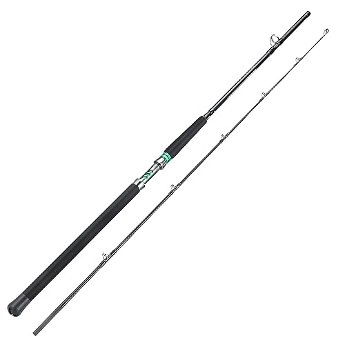 Sougayilang Spinning & Casting Catfish Rod,2 piece Medium Heavy Portable Travel Catfish Fishing Rod (7'/7'6"/8') - size: Spinning Rod-2pcs-MH-8'0''