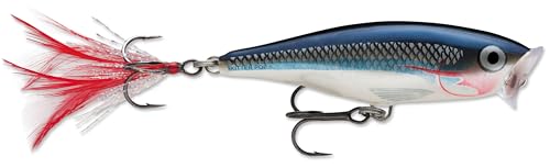 Rapala Skitter Pop Topwater Popper, Surface Hard Bait, Bass Fishing Lure, Splash and Pop Action, 2-3/4", Shad