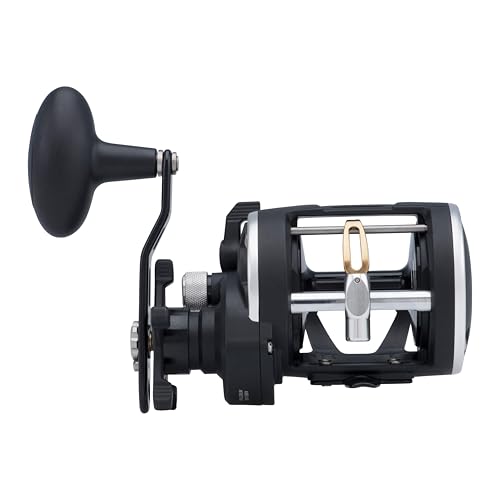PENN Rival Level Wind Conventional Fishing Reel - size: 20 - Clam Pack, style: Old Model