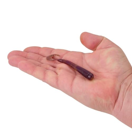 Berkley PowerBait Rib Worm Fishing Bait, Peanut Butter and Jelly, 4in, Irresistible Scent and Flavor, Ideal for Walleye, Bass, Panfish and More