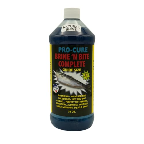 Pro-Cure Brine 'N Bite Complete Fishing Attractant, Natural Shine, Guide Size, 31 oz