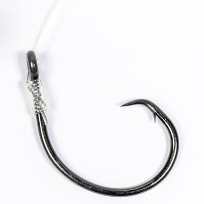 Mustad BlacktipH Live Bait Rig, Demon Wide Gap Circle Hook, Premium fluorocarbon Leader, Premium Rosco Swivel - size: Large