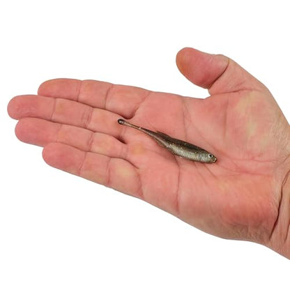 Berkley PowerBait Drip Minnow Fishing Soft Bait - color: HD Spottail Shiner, size: 3"