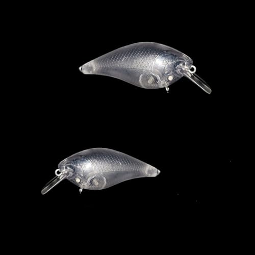 Fishing Lure Blanks Unpainted Fishing Lures,Blank Topwater Popper Lures with Eyes Clear Hard Baits 6.8cm/8g
