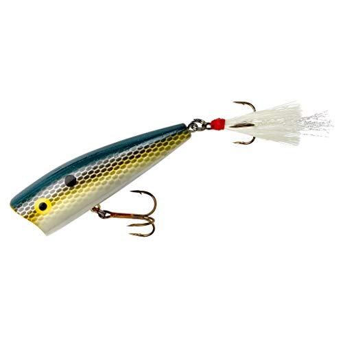 Rebel Lures Pop-R Topwater Popper Fishing Lure - color: Foxy Shad, style: Magnum Pop-r (1/2 Oz)