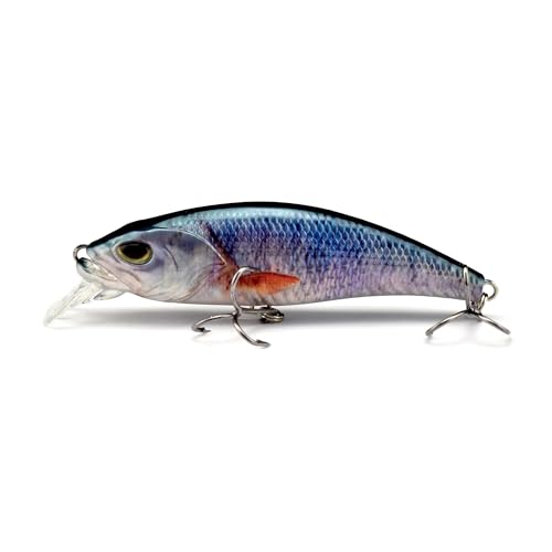 HADORAM Electric Twitching Jerkbait USB Rechargeable LED Lighted Wobbler Luminous Vibrating Minnow Bait, Long Casting Flashing Bass Fishing Lures for Freshwater Saltwater - color: 3.5in-Color 711