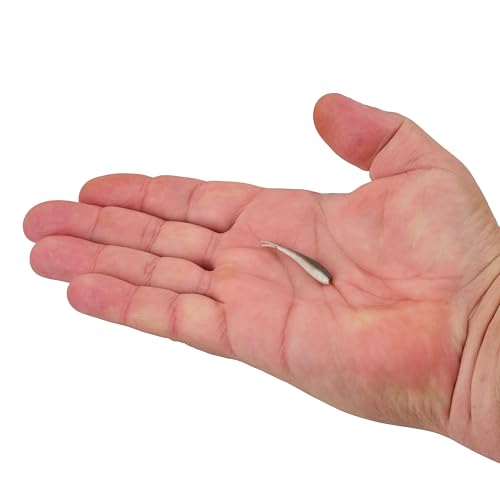Berkley Gulp! Alive! Minnow Fishing Soft Bait - color: Smelt, size: 1in - Jar