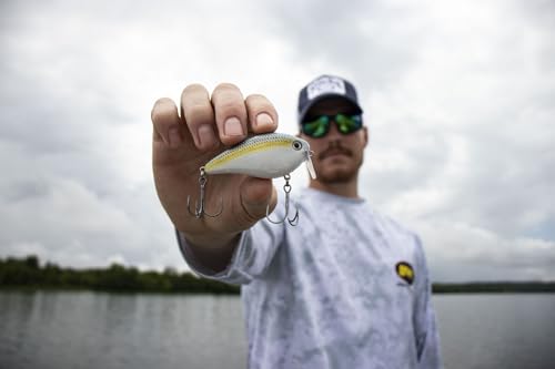 Strike King KVD 2.5 Wake Bait Fishing Lure, 3/8 oz, Unique Clacking Sound - color: 590 - Sexy Shad