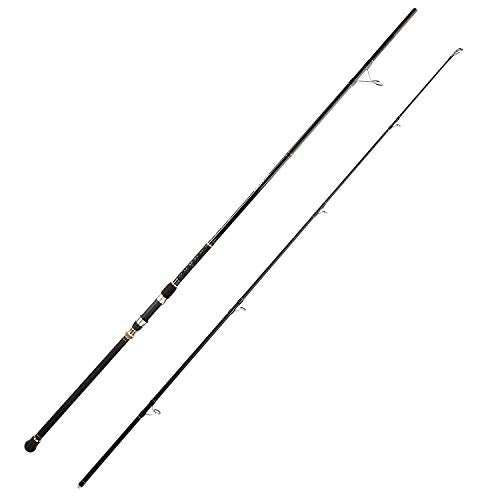 BERRYPRO Surf Spinning Fishing Rod Graphite Spinning Rod - size: 9'-Spinning-2pc