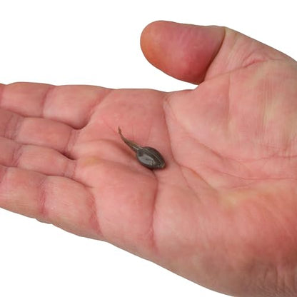 Berkley Gulp! Alive! Tadpole Fishing Soft Bait - color: Smog