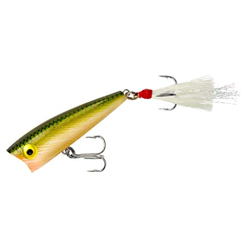 Rebel Lures Pop-R Topwater Popper Fishing Lure - color: Tennessee Shad, style: Teeny Pop-r (1/8 Oz)