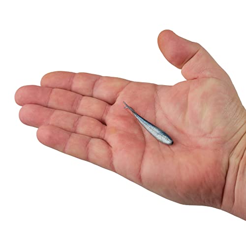 Berkley Gulp! Minnow Fishing Soft Bait - color: Blue Shiner, size: 2 1/2"