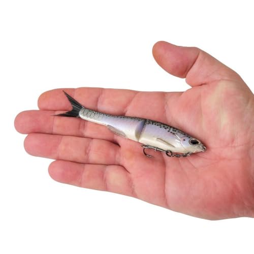 Berkley PowerBait Nessie Fishing Soft Bait - color: Rainbow Trout, size: 5in - 2/5 oz