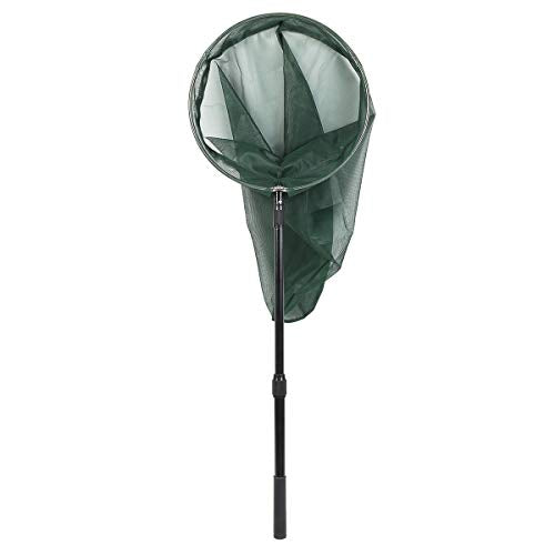 Professional Insect and Butterfly Net with 14" Stainless Ring, 26" Net Depth, Strong Aluminum Telescopic Handle Extends to 39", Muslin Banding at the Top