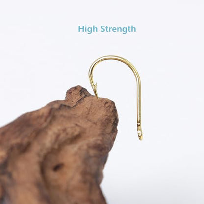 Dyxssm Small Fishing Hooks for Freshwater, 1000pcs 600pcs 400pcs Trout Fish Hook Set, 10 Sizes #2-#20 - color: Gold, style: 1000pcs (#2-#20)