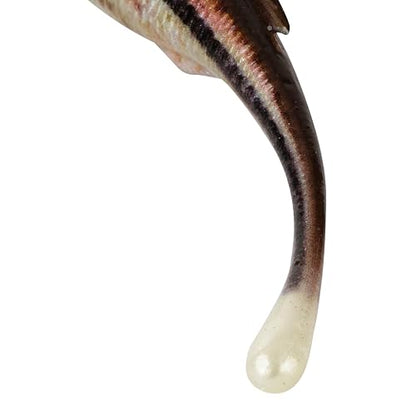 Berkley PowerBait Drip Minnow Fishing Soft Bait - color: HD Blacknose Shiner, size: 3"