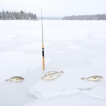 2Pcs LCE Fishing Rod, Fishing Rods Ice Fishing Rods Pen Pole Lures Fishing Tackle Spinning Casting Hard Rod Without Reel Useful and Practical Fishing Rod and Reel Combos Hunting and Fishing (75cm)