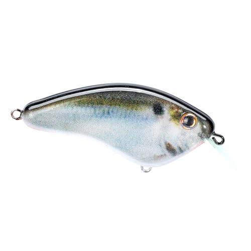 Strike King Hardliner Fishing Lure, Flat Sided Crankbait, Circuit Board Lip, Extra Tight Wobble, Size 4 Treble Hooks - color: Natural Shad