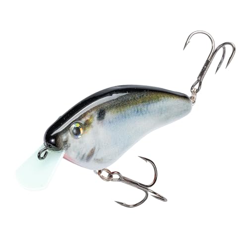 Strike King Hardliner Fishing Lure, Flat Sided Crankbait, Circuit Board Lip, Extra Tight Wobble, Size 4 Treble Hooks - color: Natural Shad