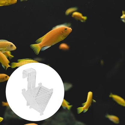 Ciieeo Acrylic Red Bloodworm Feeder Cup Tapered Fish Feeding Holder Aquarium Food Container for Live Bait Fish Tank Accessories