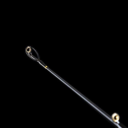 E Series - Camo Legend 2-Piece 7-Feet Casting Rod 24 Ton Carbon Fiber Baitcasting with 2 Tips - Medium and Medium Heavy Portable Bass Fishing Rod Baitcaster