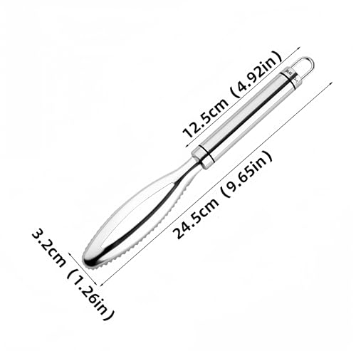 Fish Scale Remover,304 Stainless Steel Fish Scaler Easy Use Fish Descaler Tool,Fish Scaler Remover Lung Remover for Family Kitchen,Easy to Clean Kitchen Tool(9.65 * 1.26in)-SATONBEYI