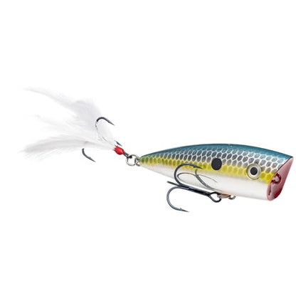 Strike King Junior KVD Splash Hardbait Series Bait - color: Chrome Sexy Shad, size: 0.05