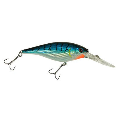 Berkley Flicker Shad Fishing Lure, Blue Tiger, 1/8 oz, 1 1/2in | 4cm Crankbaits, Size, Profile and Dive Depth Imitates Real Shad, Equipped with Fusion19 Hook - color: Blue Tiger, size: 1 1/2in - 1/8 oz