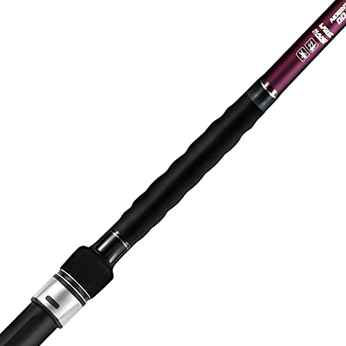 BERRYPRO Surf Spinning Rod Surf Casting Fishing Rod Carbon Fiber Travel Fishing Rod (9'/10'/10'6''/11'/12'/13'3'') - style: 10'-spinning 2-piece