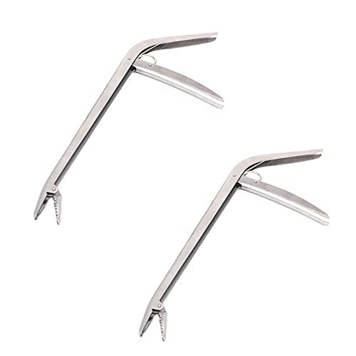 SEIWEI Fishing Hooks Remover Extractor Rivers Freshwater Saltwater Fishing Grabber Tool Stainless Steel Fish Holder Fishing Tongs Silver Portable - color: 2PCS