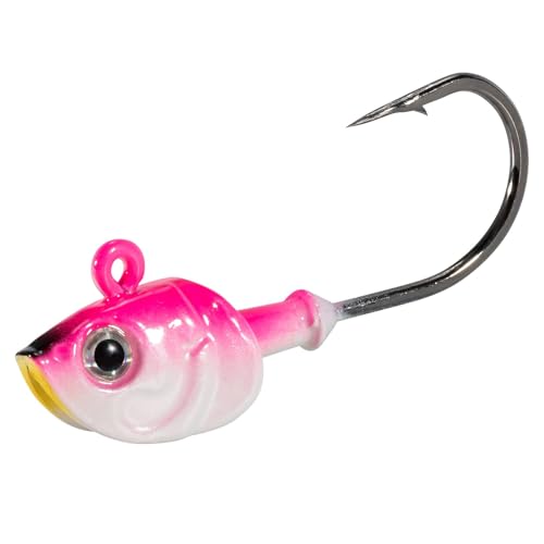 Dr.Fish 10 Pack Swimbait Jig Heads, Saltwater Fishing Jig Heads 3D Eyes High Carbon Steel Hooks Surf Fishing Lures Flounder Striper Halibut Pompano Bass - color: Pink, size: 3/4oz-Hook#4/0